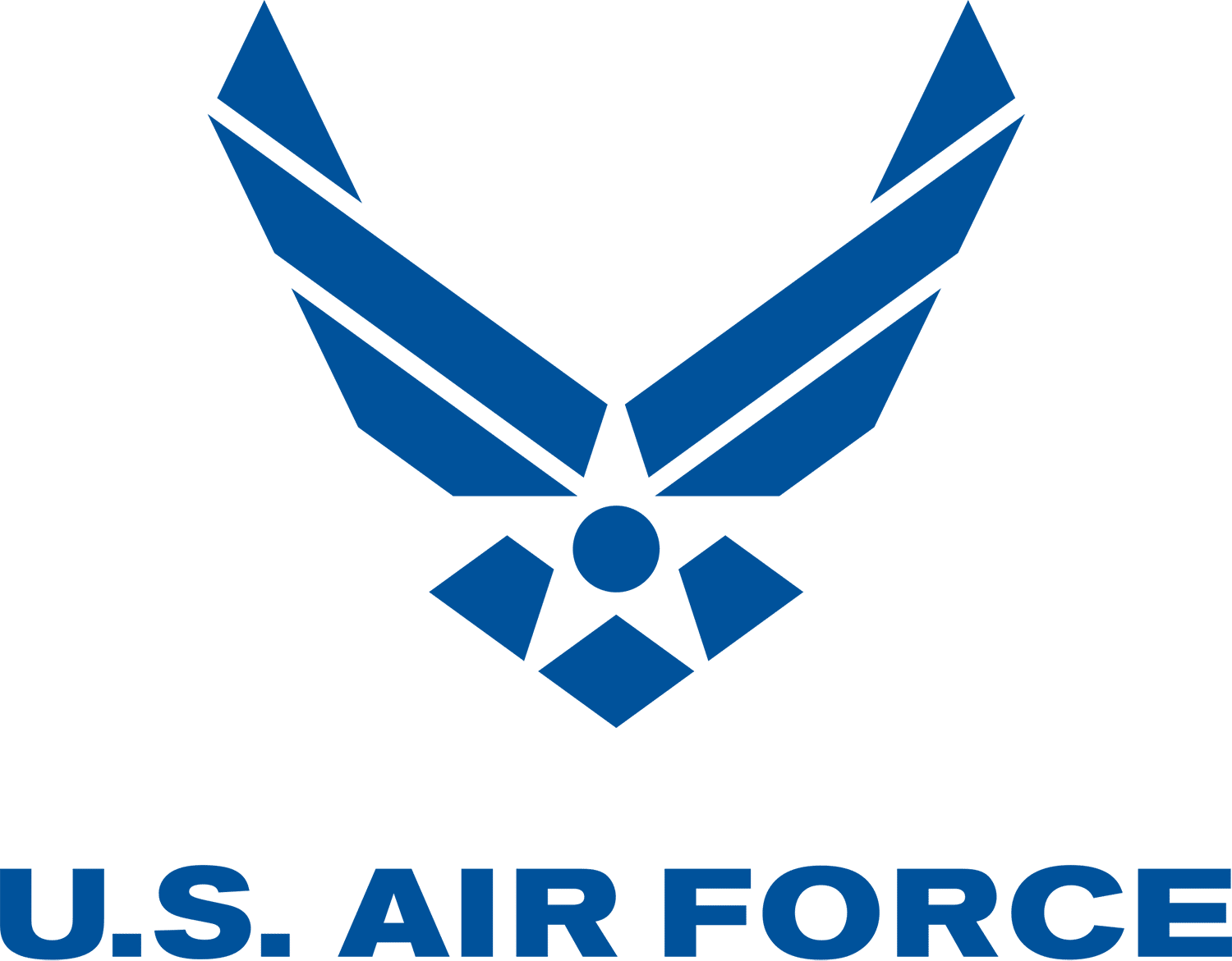 Octo - Air Force Logo